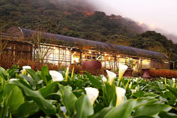 遊客們可自各家海芋農場欣賞不同的主題花藝編織造景。（圖片來源／海芋季）