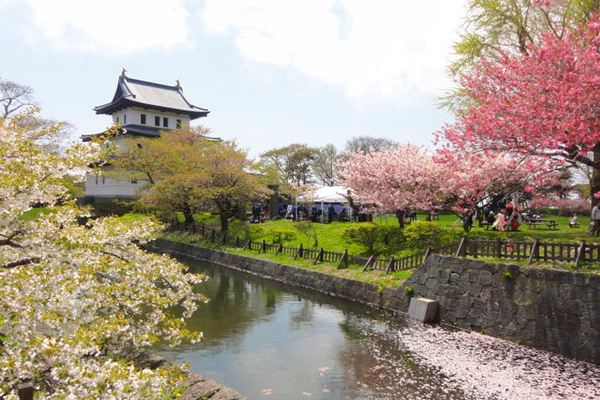 松前公園。（圖片來源／hokkaidolikers）