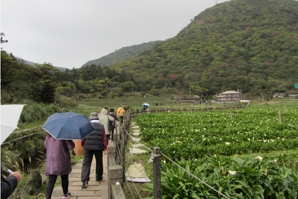 「頂湖環狀步道」聆聽潺潺水聲，享受天然芬多精。（圖片來源／北市大地處）