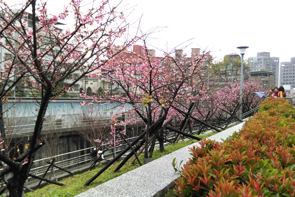 東湖站周邊的樂活公園位於台北市內湖區東湖路與康樂街交叉(康樂街61巷)，春日有櫻花盛開。(圖片來源／北捷）