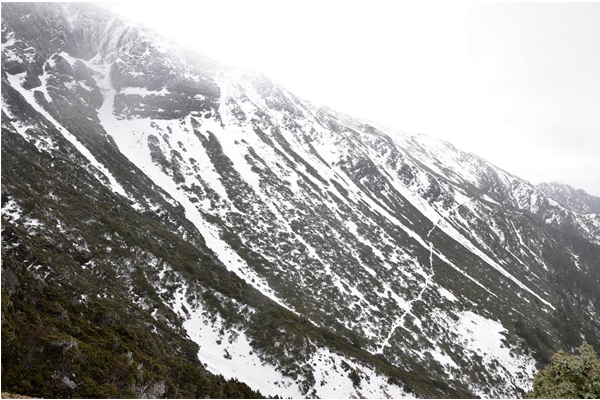 玉山雪景。（圖片來源／玉山國家公園）