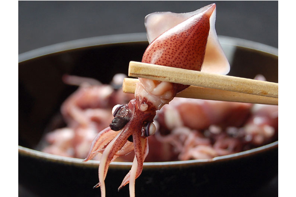 螢光烏賊除了有觀賞價值外，在日本也是非常受歡迎的佳餚。（圖片來源／rakuten）