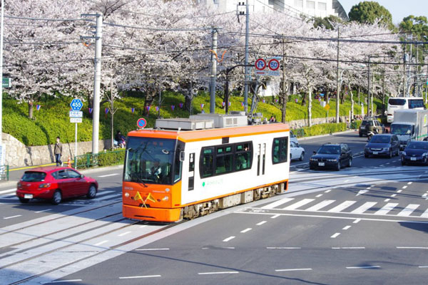 搭乘都內荒川線欣賞櫻花盛開的飛鳥山公園。（圖片來源／東京都交通局）