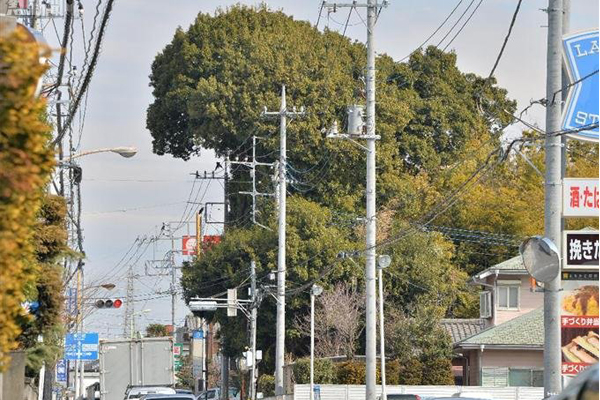 栩栩如生的酷斯拉正準備襲擊日本街道。（圖片來源／sankei）