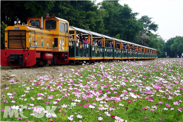 烏樹林文化園區-五分車體驗。（圖片提供／台南市政府觀光旅遊局）