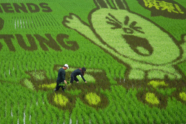 2015年可愛的LINE彩繪稻田吸引許多人前往。（圖片來源／LINE BLOG）