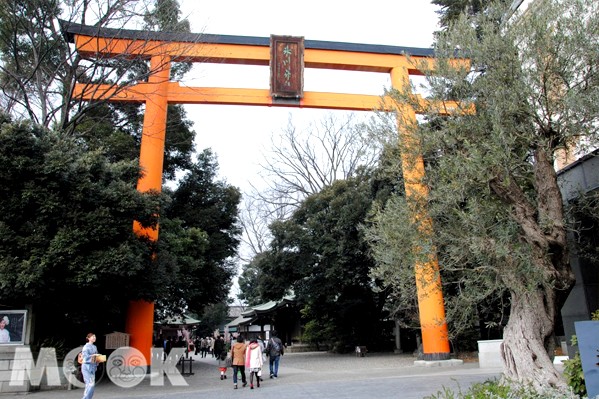 來到川越必訪的冰川神社，擁有日本最大鳥居。(圖片提供／小彤)