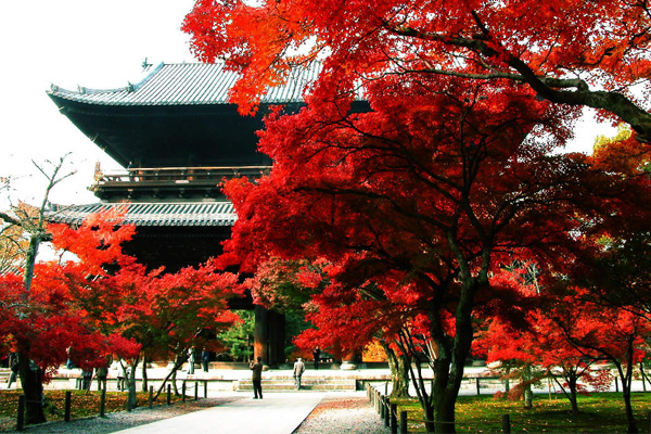 京都五處寺院提供外國旅客住宿。（圖片來源／kyoto.travel）