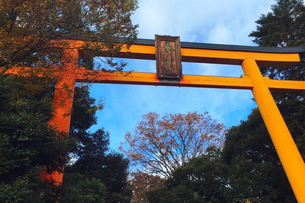 川越冰川神社紅色鳥居為日本最大。(圖片來源／川越氷川神社)