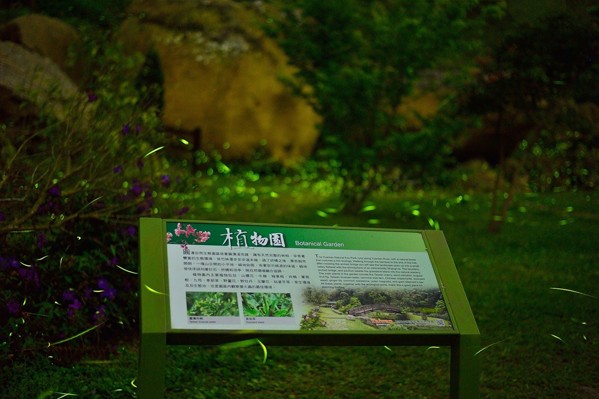 圓潭自然生態公園優質賞螢活動。(圖片來源／阿里山國家風景區)