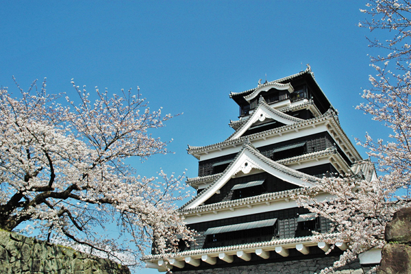 熊本城為日本熊本縣必遊景點。（圖片來源／johkasou.jp）