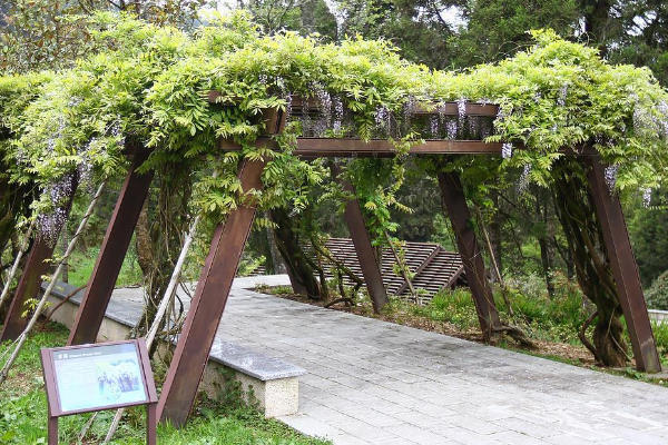 沼平公園內詩詞步道。（圖片來源／阿里山國家森林遊樂區）