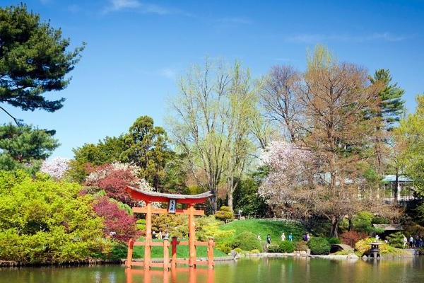 布魯克林植物園（圖片來源／Condé Nast Traveler）