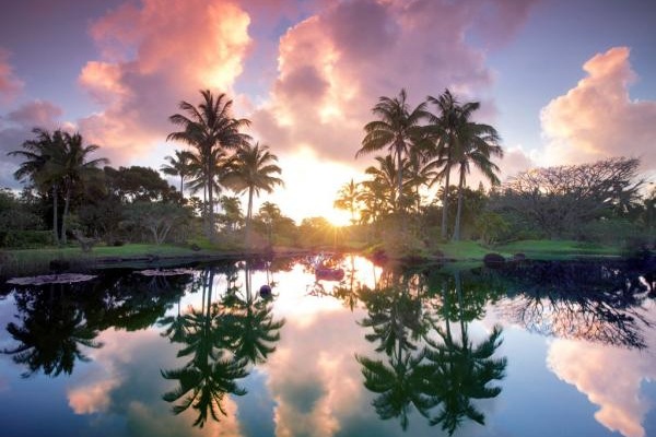 娜愛納凱植物園（圖片來源／Condé Nast Traveler）