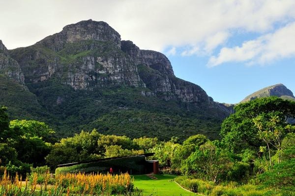 康斯坦博西國家植物園（圖片來源／Condé Nast Traveler）