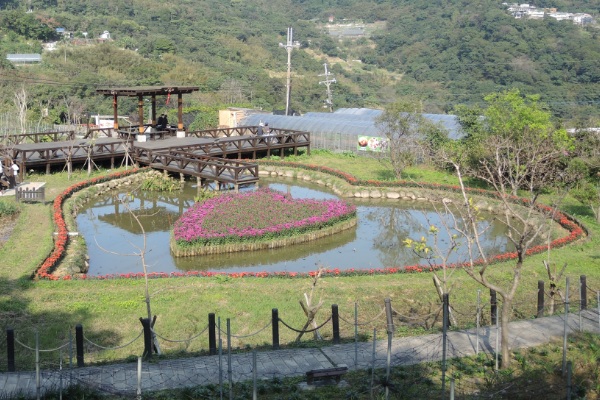 同心池是許多情侶的約會好處去。（圖片來源／台北市政府工務局）