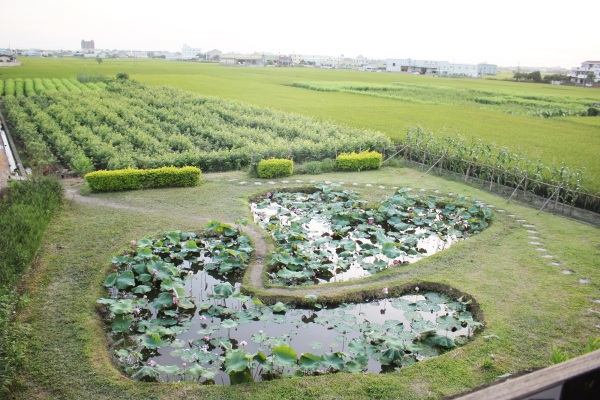 雙心池塘稱為綠地版的澎湖雙心石滬。（圖片來源／大村鄉公所）