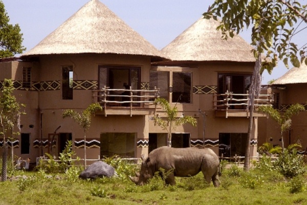 Mara River Safari Lodge是以非洲原始草原為主題的酒店。（圖片來源／Mara River Safari Lodge）