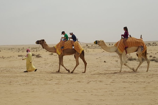 還能騎乘駱駝穿梭在沙漠中。（圖片來源／Bab Al Shams Desert Resort & Spa）