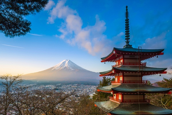 就是這裡！ 最多遊客打卡的日本景點