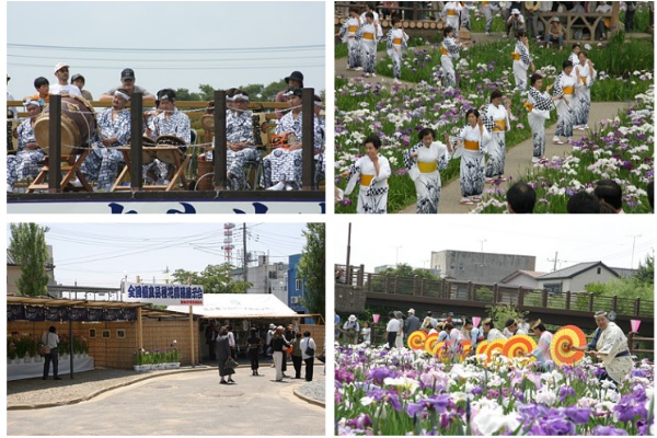 還有菖蒲舞,潮來演奏,潮來祇園節舞等表演活動。（圖片來源／茨城縣）