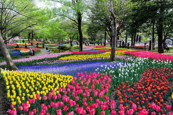 被花海包圍 全球12大絕美鬱金香花園 