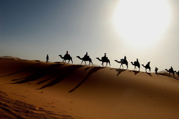 具有冒險精神的旅客可以騎著駱駝，去探索薩拉哈的廣闊沙漠。（圖片來源／Second Globe ）