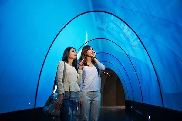全台第一的虛擬實境隧道，讓訪客身歷其境大自然深海的寶藏、天然的花草農場。(圖片來源／白蘭氏健康博物館)
