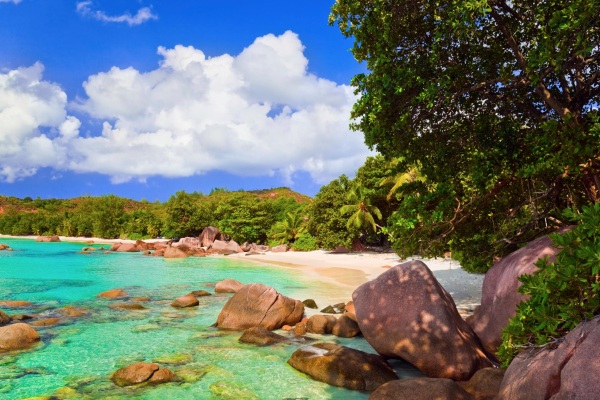 Anse Lazio（圖片來源／tripadvisor）