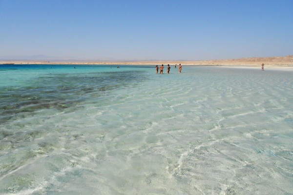 Sharm El Luli（圖片來源／tripadvisor）