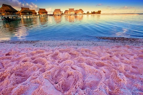 哈勃島有被世界上最性感的海灘的粉紅沙灘。（圖片來源／pinterest）