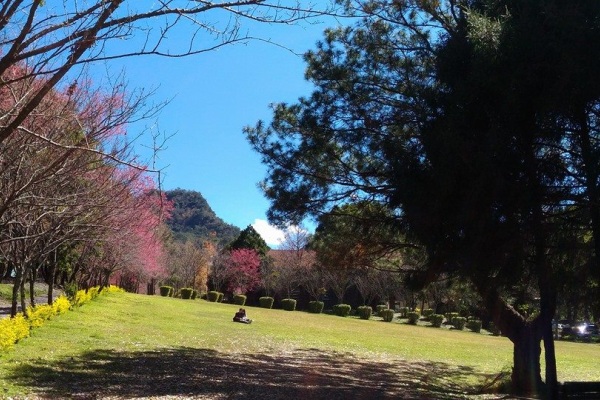 奧萬大森林公園有美麗的自然景觀。(圖片來源／奧萬大情報站）