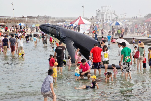 2016東石漁人碼頭海之夏祭7月9日登場。（圖片來源／2016東石漁人碼頭海之夏祭）