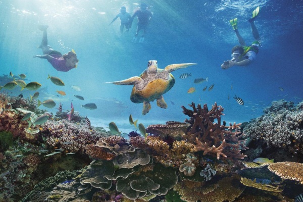 大堡礁是世界最大最長的珊瑚礁群。（圖片來源／australia）