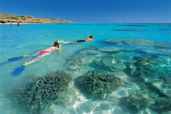 寧格魯是世界上最大的岸礁之一。（圖片來源／youraussieholiday）