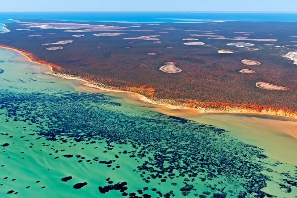 鯊魚灣位於澳大利亞最西部的海岸。（圖片來源／birdseyeviewphotography）
