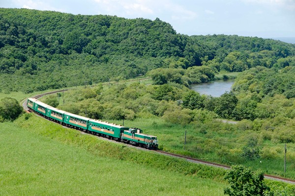 搭乘夏季運行的觀光列車鬧老靠號，一路欣賞濕地風光。（圖片來源／go946）