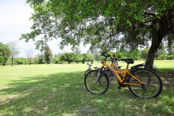 可以騎著單車享受一場與自然共舞的時光。（圖片來源／台東縣觀光旅遊網）