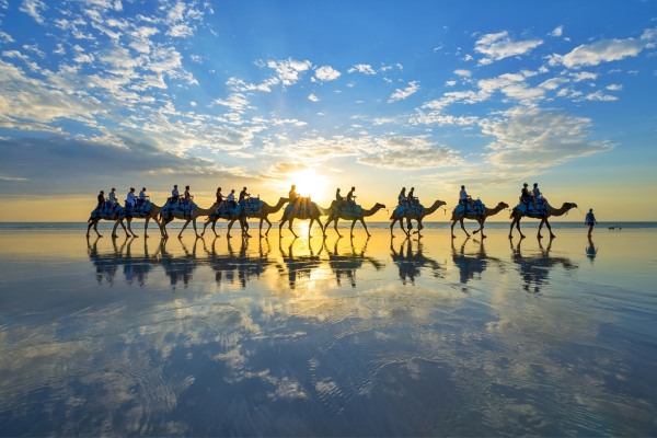 凱布爾海灘駱駝隊伍在夕陽西下時從海灘上經過。（圖片來源／trover）