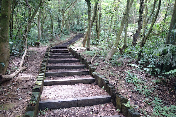 小溪頭環狀步道沿途自然生態多元豐富。（圖片來源／臺北市政府工務局大地工程處）