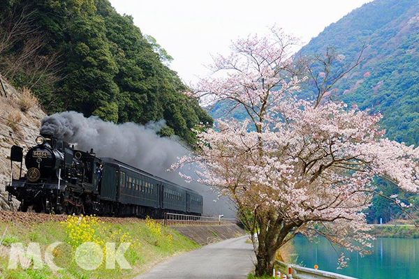 蒸汽火車讓人們重溫少年時期的美好時光。（圖片提供／樂天旅遊）