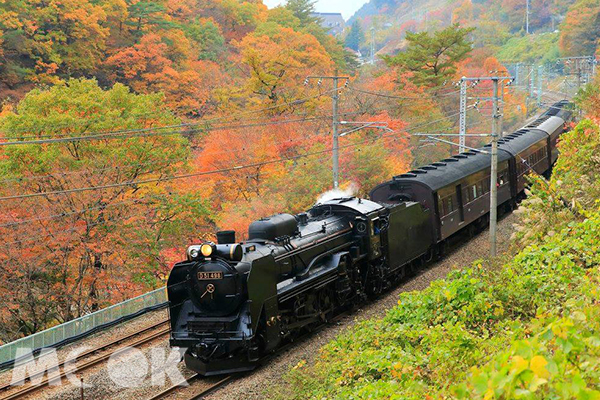 鳴笛奔馳在沿途美景中的列車，令人目不轉睛。（圖片提供／樂天旅遊）