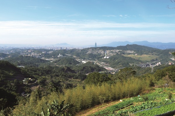 也能欣賞遼闊的山林美景。（圖片來源／新北市政府）