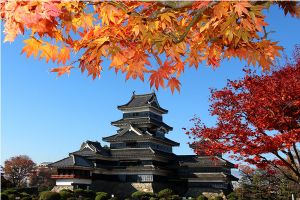 造型雅致講究的松本城，被指定為日本國寶級的古城。（圖片來源／matsumoto-castle）