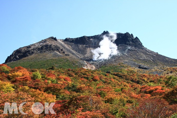 登山步道可細細欣賞難得一見的紅色草原。（圖片提供／東武鉄道）