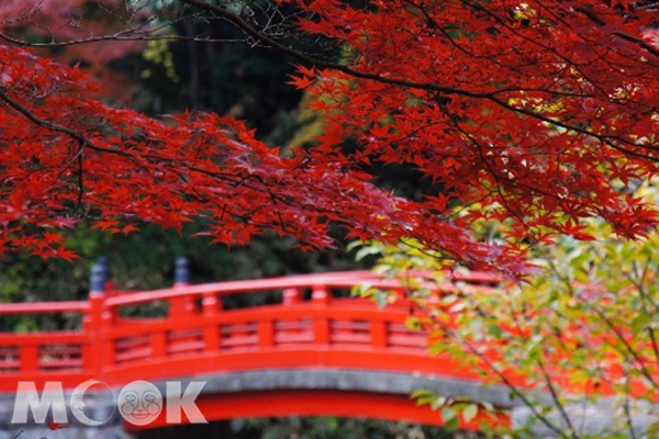 被紅葉環繞的喜多院。（圖片提供／東武鉄道）