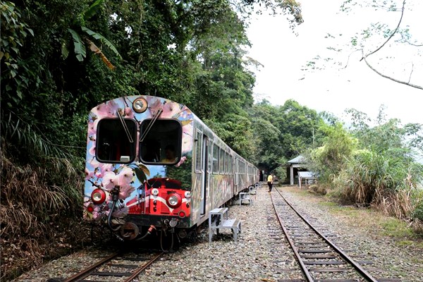 受到颱風影響，阿里山森林鐵路9月14、15日兩天列車全面停駛。(圖片來源／臺鐵)