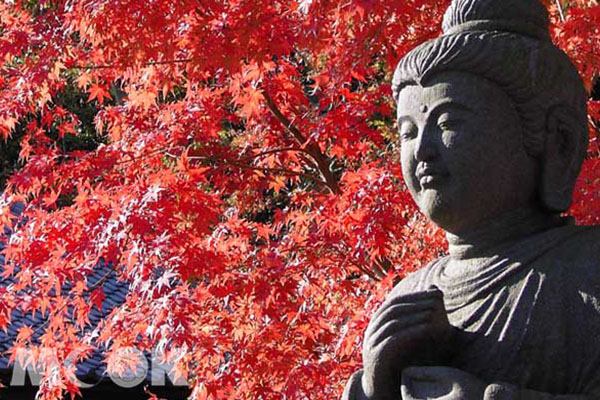寺內供奉了一尊十一面觀音立像，為日本第一大木製佛像。（圖片提供／樂天旅遊）
