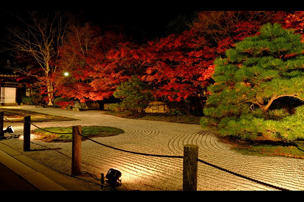 南禪寺塔頭天授庵 本堂前庭 (圖片來源／yakei-kabegami)