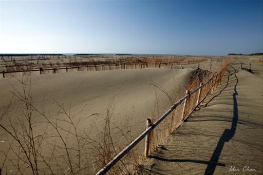 台版撒哈拉沙漠 (圖片來源／台江國家公園管理處)